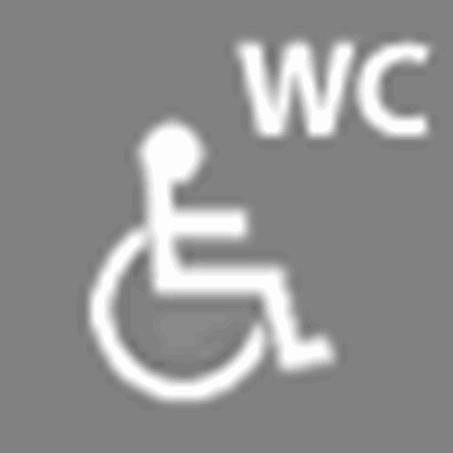 Disabled WC